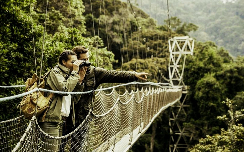 5 Days Rwanda Tour with canopy walk experience