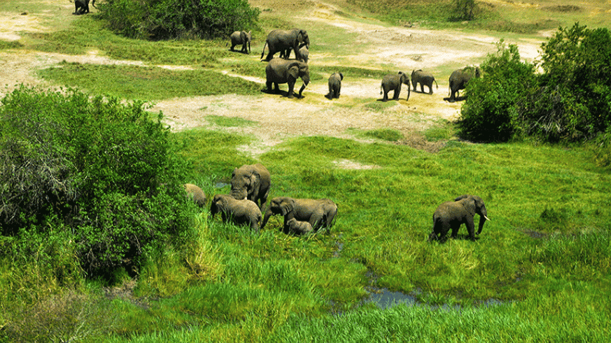 National parks in Uganda